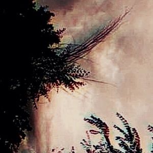 Meet your Posher, Jacky