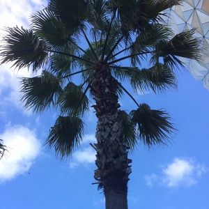 Meet your Posher, Veronica