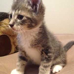 Meet your Posher, Anastasiya