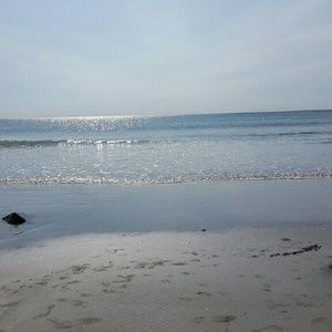 Meet your Posher, Joyce