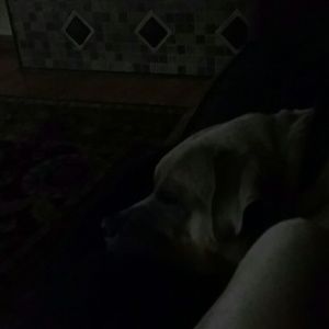 Meet your Posher, Kathy