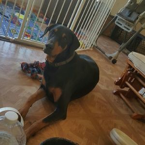 Meet your Posher, Vanessa