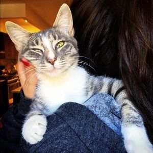 Meet your Posher, Nicole