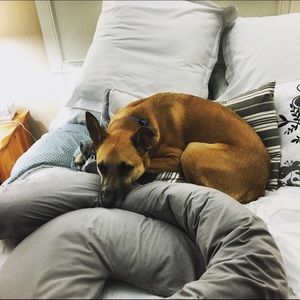 Meet your Posher, Jamie