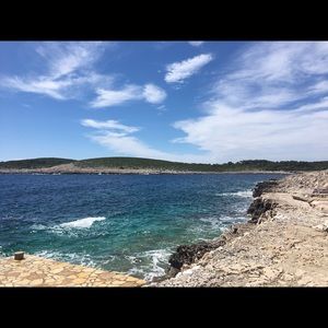 Meet your Posher, Marley