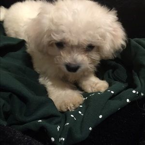 Meet your Posher, Judy