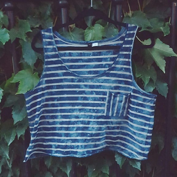 Indigo Crop Top