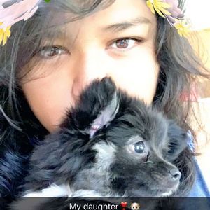 Meet your Posher, Stephanie