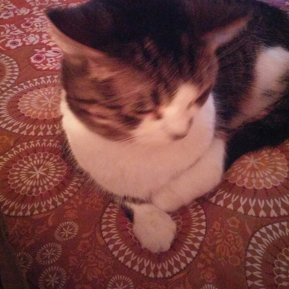 Meet your Posher, Kim