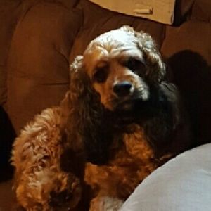 Meet your Posher, Jody