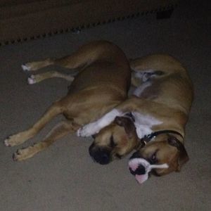 Meet your Posher, Nickole