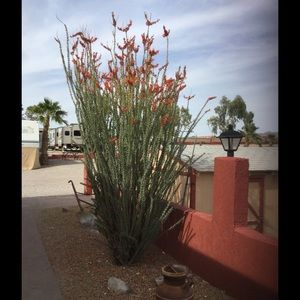 Meet your Posher, Pat