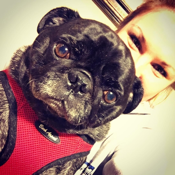 Meet your Posher, Paige - Picture 1 of 1