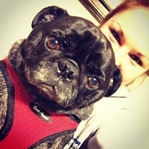 Meet your Posher, Paige