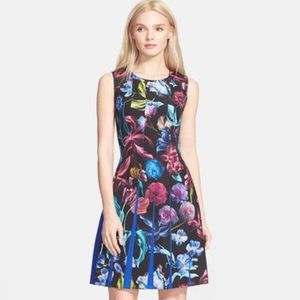 NWT Ted Baker Midnight Bloom pleated floral dress