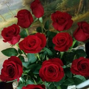 Meet your Posher, Tatyana