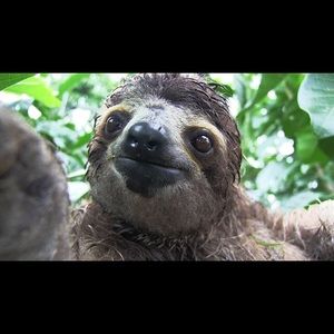 Meet your Posher, Nallely