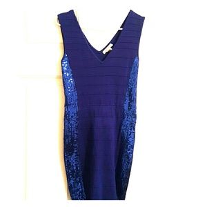 Blue Arden B sequin dress