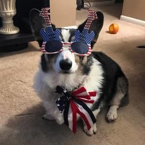 Meet your Posher, Sheri