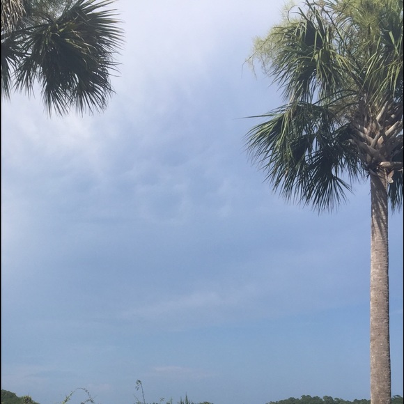 Meet your Posher, Mary - Picture 1 of 1