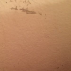 Meet your Posher, Felicia