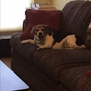 Meet your Posher, Meghan