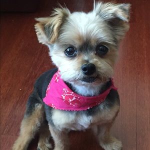 Meet your Posher, Elizabeth