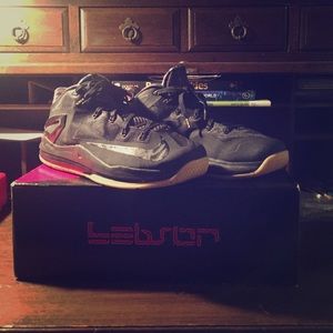 Max Lebron 11 low