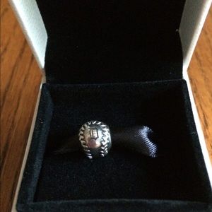 Pandora - Detroit Tiger bead