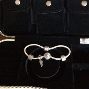 Pandora bracelet