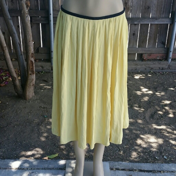 ZARA Skirt