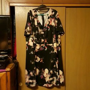 Ava and Viv plus size