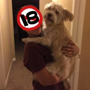 Meet your Posher, Đặng thuỵ