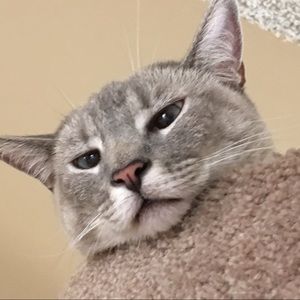 Meet your Posher, Brenda