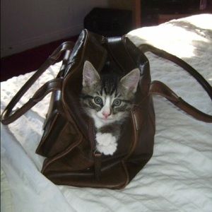 Meet your Posher, Sofia