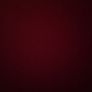 Meet your Posher, Priscilla