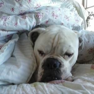 Meet your Posher, Maggie