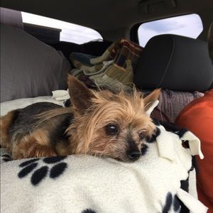 Meet your Posher, Sue