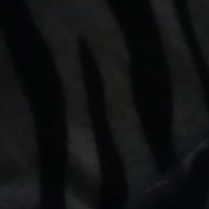 Meet your Posher, Naydine