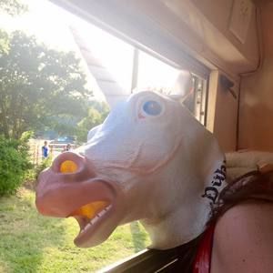 Meet your Posher, Casey