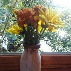 Meet your Posher, Andria