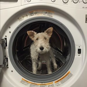 Meet your Posher, Katherine