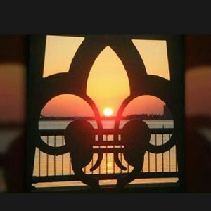 Meet your Posher, Dawn