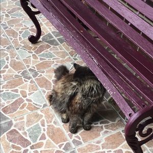 Meet your Posher, Christine