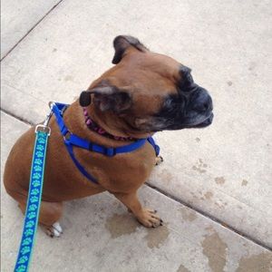 Meet your Posher, Robin