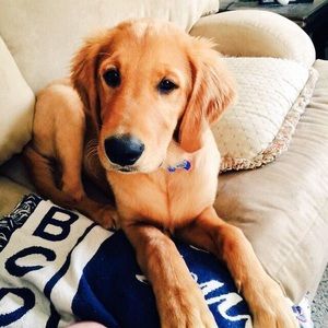 Meet your Posher, Sara