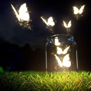 Meet your Posher, Socorro