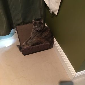 Meet your Posher, Jenny