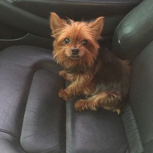 Meet your Posher, Leah