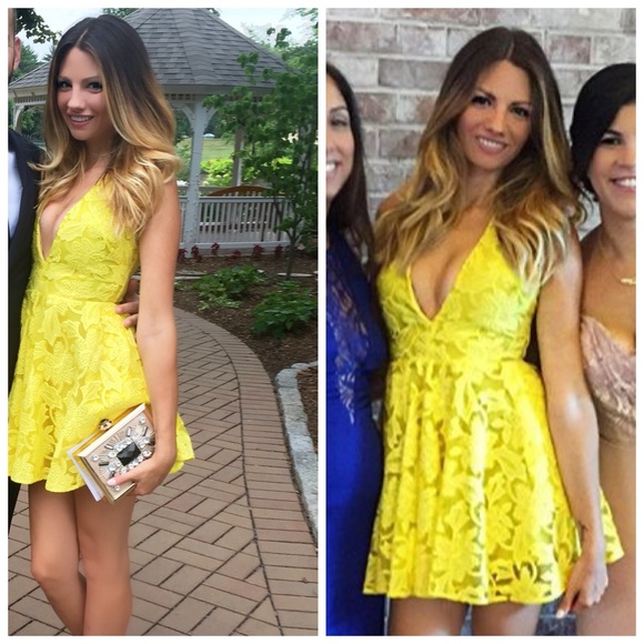 Gorgeous Deep V Lace Fit and Flare Dress